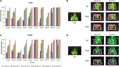 Deciphering the <mark class="highlighted">Relationship</mark> Between Cycloheximides <mark class="highlighted">Structure</mark>s and Their Different Biological Activities